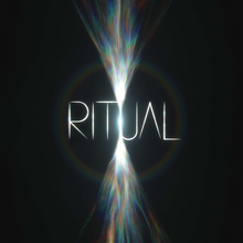 Load image into Gallery viewer, Jon Hopkins - Ritual (2LP Clear)
