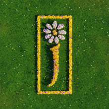 Load image into Gallery viewer, James - Nothing But Love: The Definitive Best Of (2LP)
