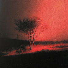 Load image into Gallery viewer, [PRE ORDER] Joji - Piss In The Wind (Indie Exclusive, Prism vinyl)
