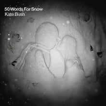 Load image into Gallery viewer, Kate Bush - 50 Words For Snow (2LP Snowy White)
