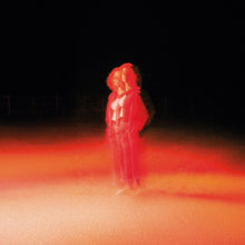Load image into Gallery viewer, Katherine Priddy - These Frightening Machines (Indie Exclusive, Grey Marble vinyl)
