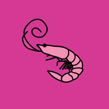 Load image into Gallery viewer, Kero Kero Bonito - Flamingo (7&quot; Pink vinyl)
