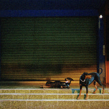 Load image into Gallery viewer, Overmono - Pure Devotion (Japan Edition, Indie Exclusive Blue Marbled vinyl)
