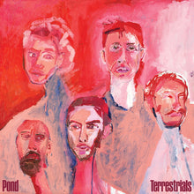 Load image into Gallery viewer, Pond - Terrestrials (Seabird Blue vinyl)
