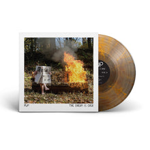 Load image into Gallery viewer, PUP - The Dream Is Over (Clear w Red &amp; Orange Swirl vinyl)
