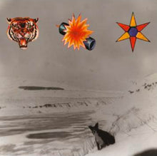Load image into Gallery viewer, The Beta Band - The Three E.P.&#39;s (2LP)
