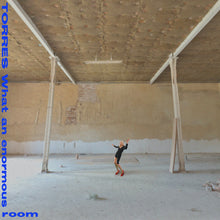 Load image into Gallery viewer, [PRE-ORDER] TORRES - What An Enormous Room (Blue Jay &amp; White)
