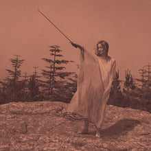 Load image into Gallery viewer, Unknown Mortal Orchestra - II (10th Anniversary Edition) (2LP Aluminium)
