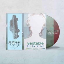 Load image into Gallery viewer, [PRE ORDER] Vegtable - Hit By A Car (CD)
