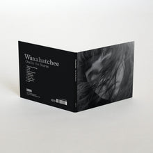 Load image into Gallery viewer, Waxahatchee - Out In The Storm (CD)
