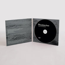 Load image into Gallery viewer, Waxahatchee - Out In The Storm (CD)
