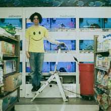 Load image into Gallery viewer, Charlie Hickey - Count The Stairs (EP, Metallic Silver)
