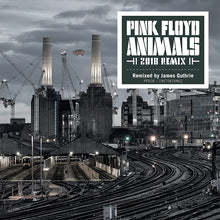Load image into Gallery viewer, Pink Floyd - Animals (2018 Remix)
