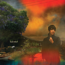 Load image into Gallery viewer, Sharon Van Etten - We&#39;ve Been Going About This All Wrong (Marble Smoke)
